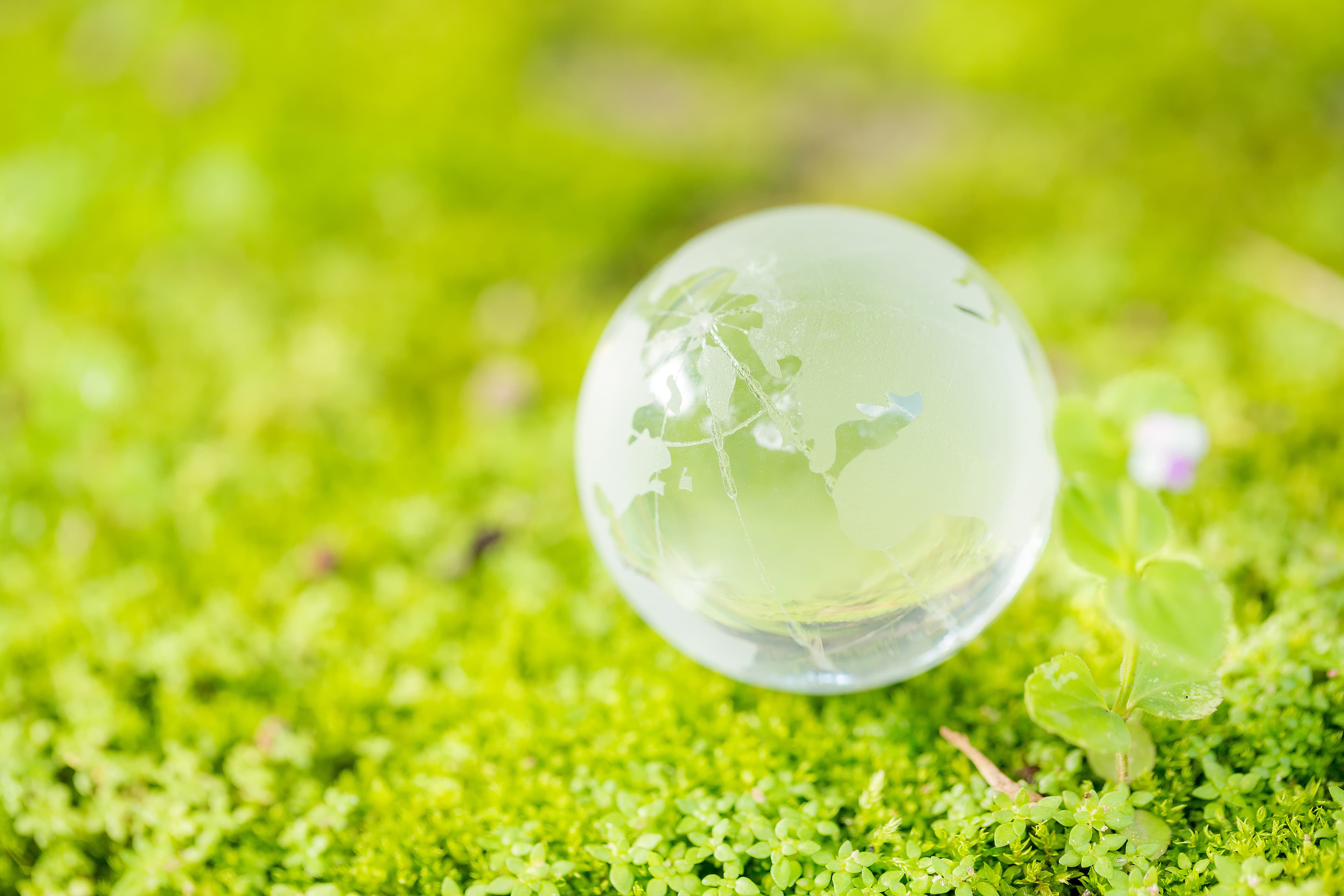 Eco Factory campaign